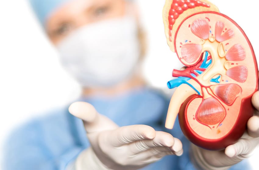 que-es-la-urologia-y-que-son-los-urologos